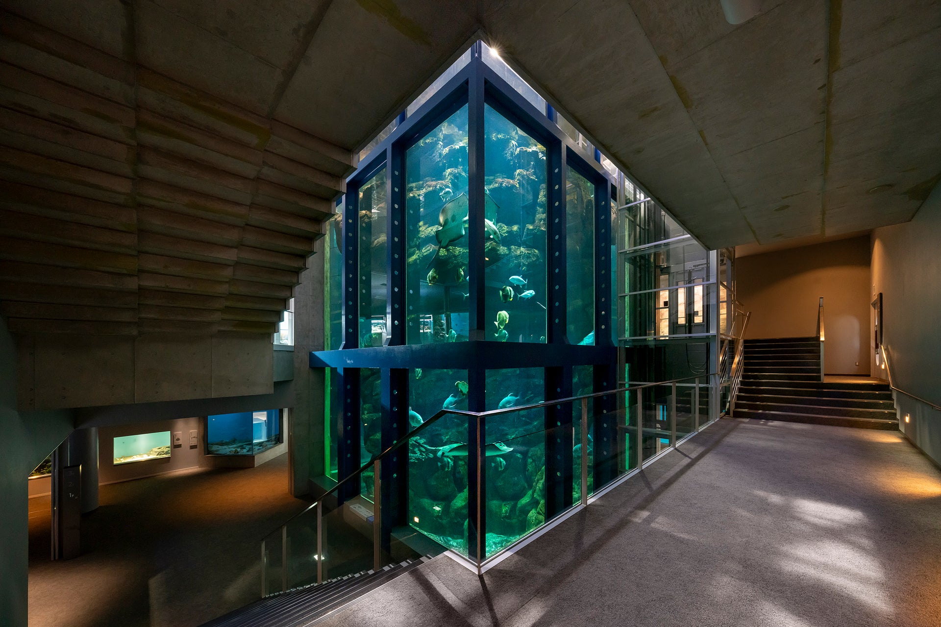 城崎マリンワールド SeaZoo3